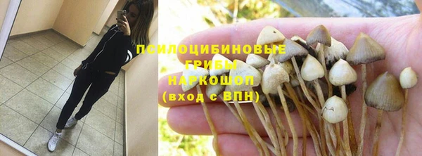 ГАЛЛЮЦИНОГЕННЫЕ ГРИБЫ Абинск