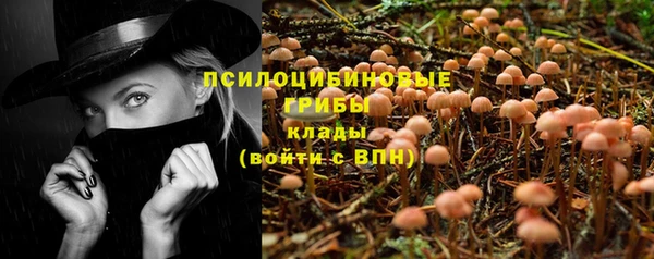 прущая мука Абаза