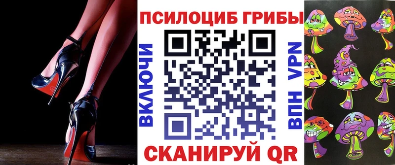 где можно купить   Абинск  Псилоцибиновые грибы ЛСД 